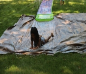 2020 08 22 Amyha 7thBdayPartyN 312